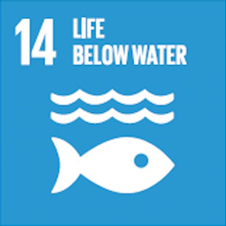 Sustainable development goals 14
